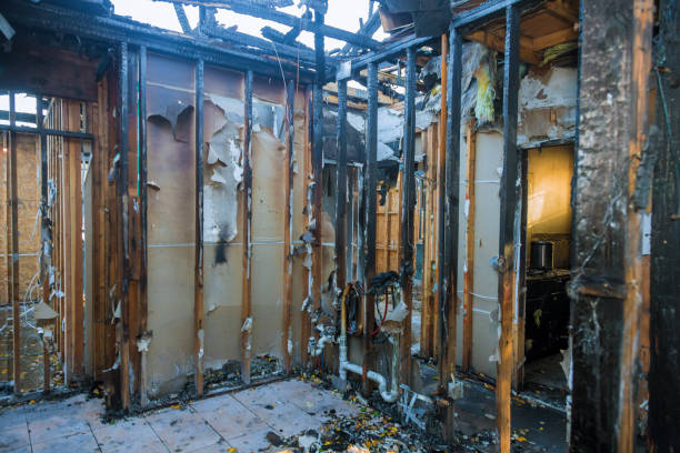 Professional Smoke Damage Removal technician working in Pine Level, NC